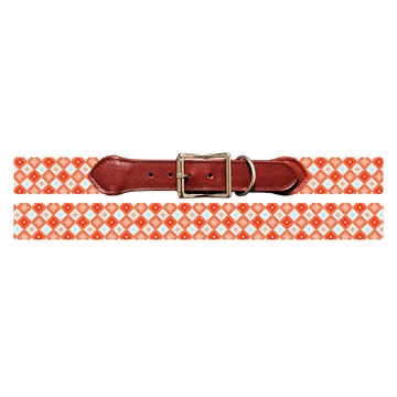 Tangerine Medallion Needlepoint Dog Collar