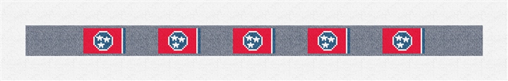 Tennessee Flag Needlepoint Dog Collar Kit