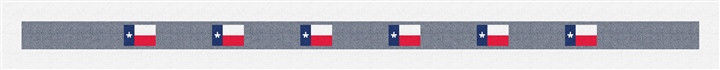 Texas Flag Needlepoint Belt Kit
