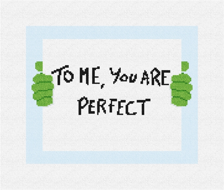 To Me You Are Perfect Needlepoint Pillow Kit
