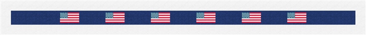 United States Flag Needlepoint Belt Kit