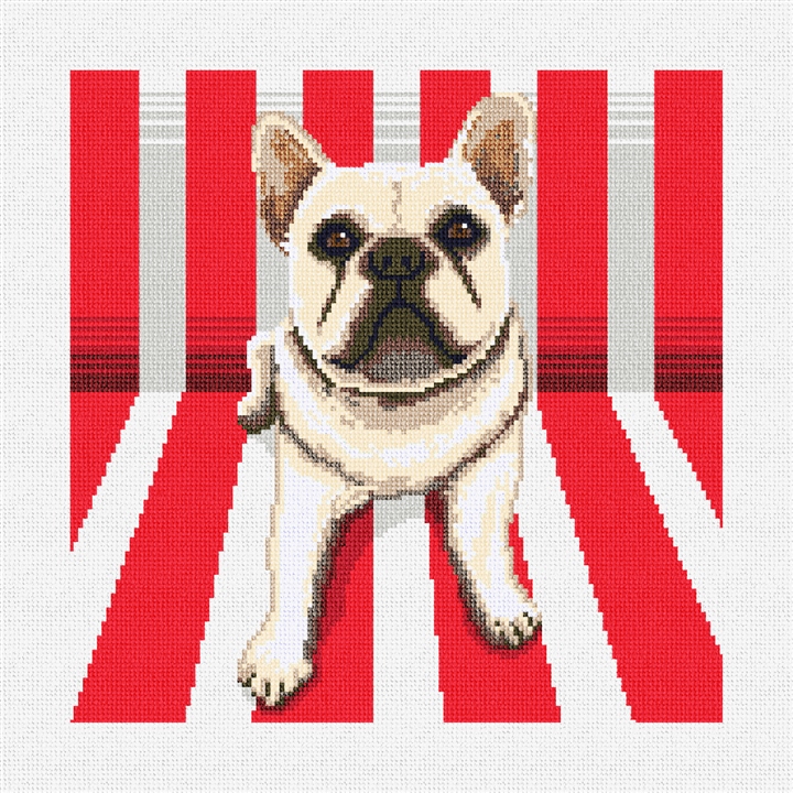Uptown French Bulldog Needlepoint Pillow Kit