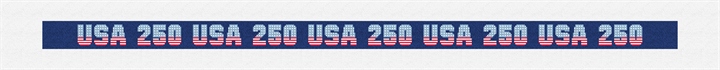 USA 250 Years Spirit Needlepoint Belt Kit Stitched Preview