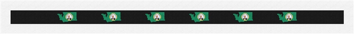 Washington State Needlepoint Belt Kit