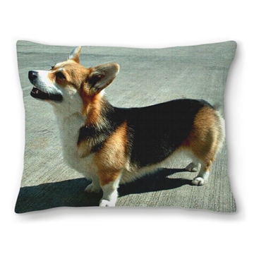 Welsh Corgi Needlepoint Pillow