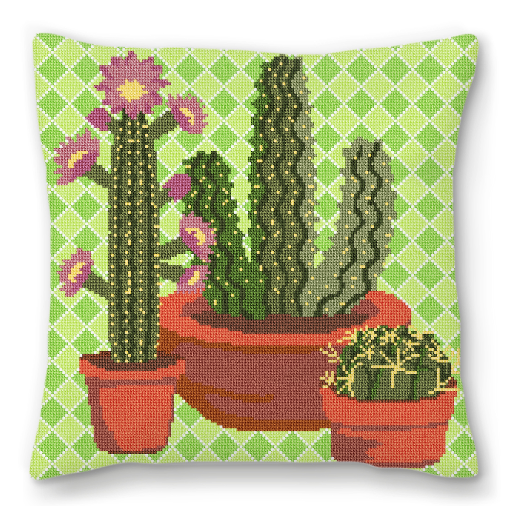 Western Green Cactus Needlepoint Pillow