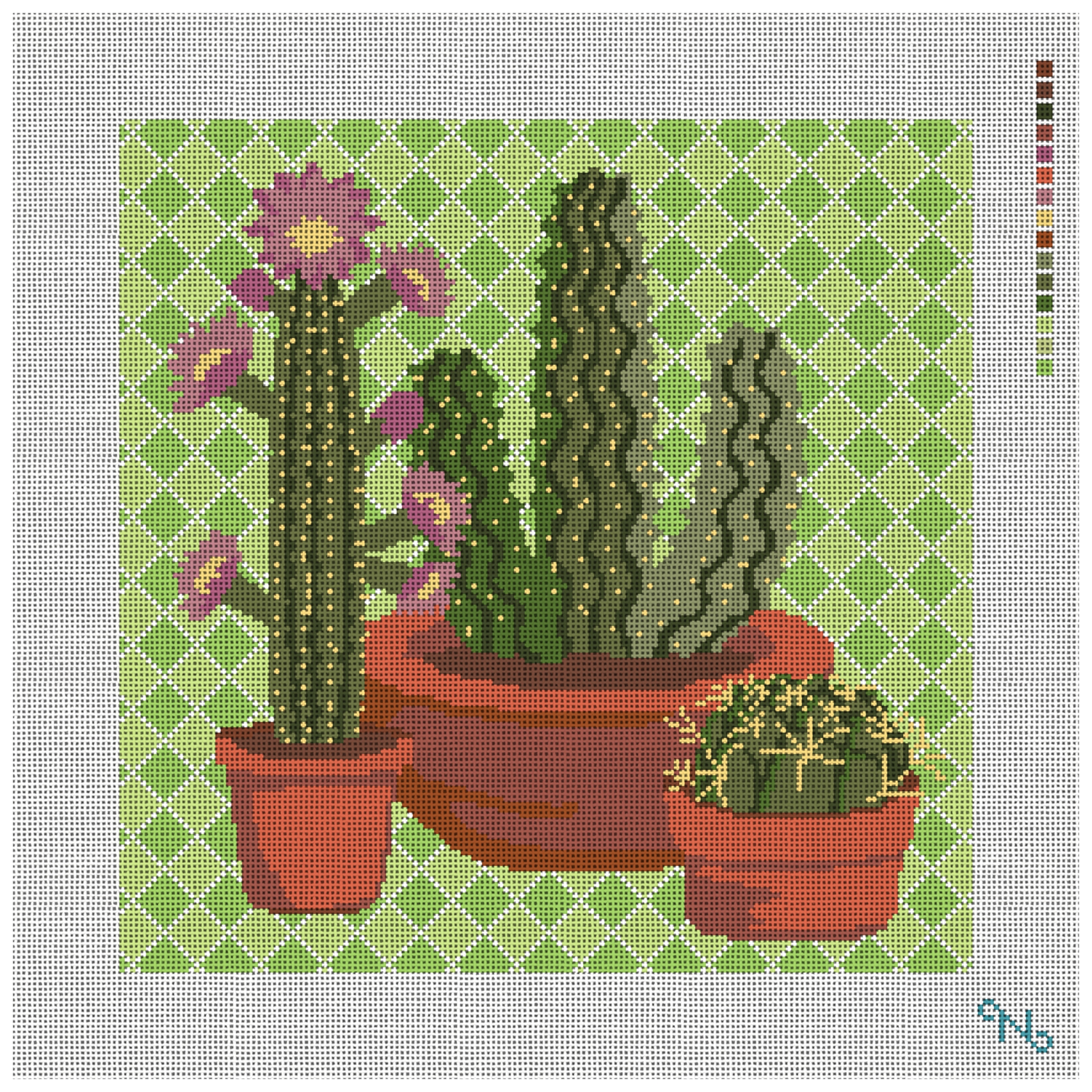 Western Green Cactus Needlepoint Pillow Kit