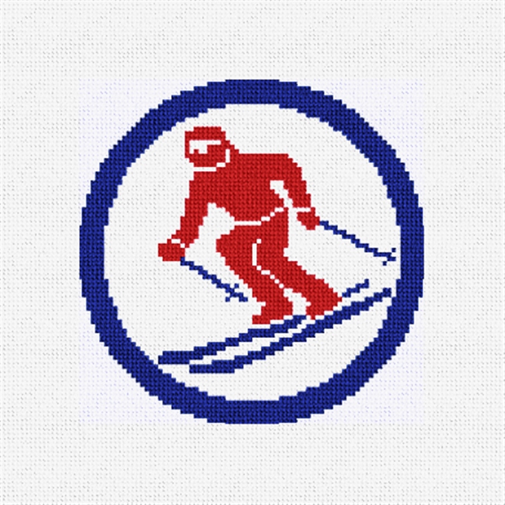 Winter Downhill Skiing Needlepoint Ornament Kit