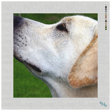 Yellow Lab Needlepoint Pillow Kit Stitched Preview
