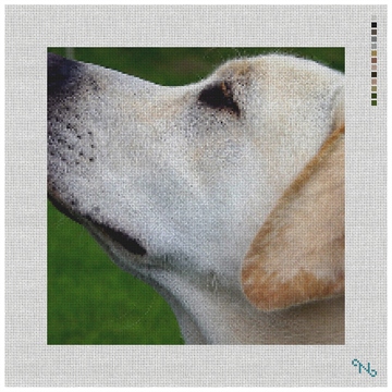 Yellow Lab Needlepoint Pillow Kit