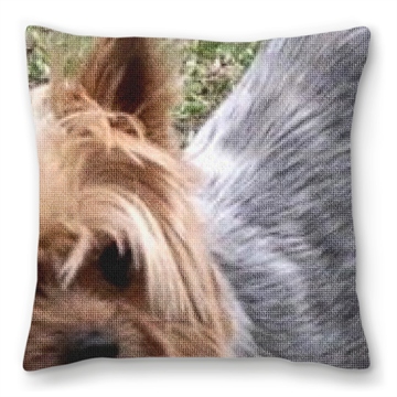 Yorkshire Terrier Needlepoint Pillow 