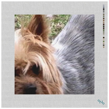 Yorkshire Terrier Needlepoint Pillow Kit Stitched Preview