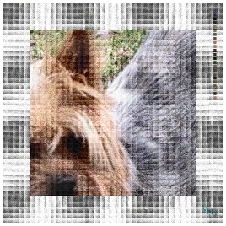 Yorkshire Terrier Needlepoint Pillow Kit Stitched Preview