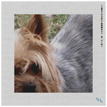 Yorkshire Terrier Needlepoint Pillow Kit